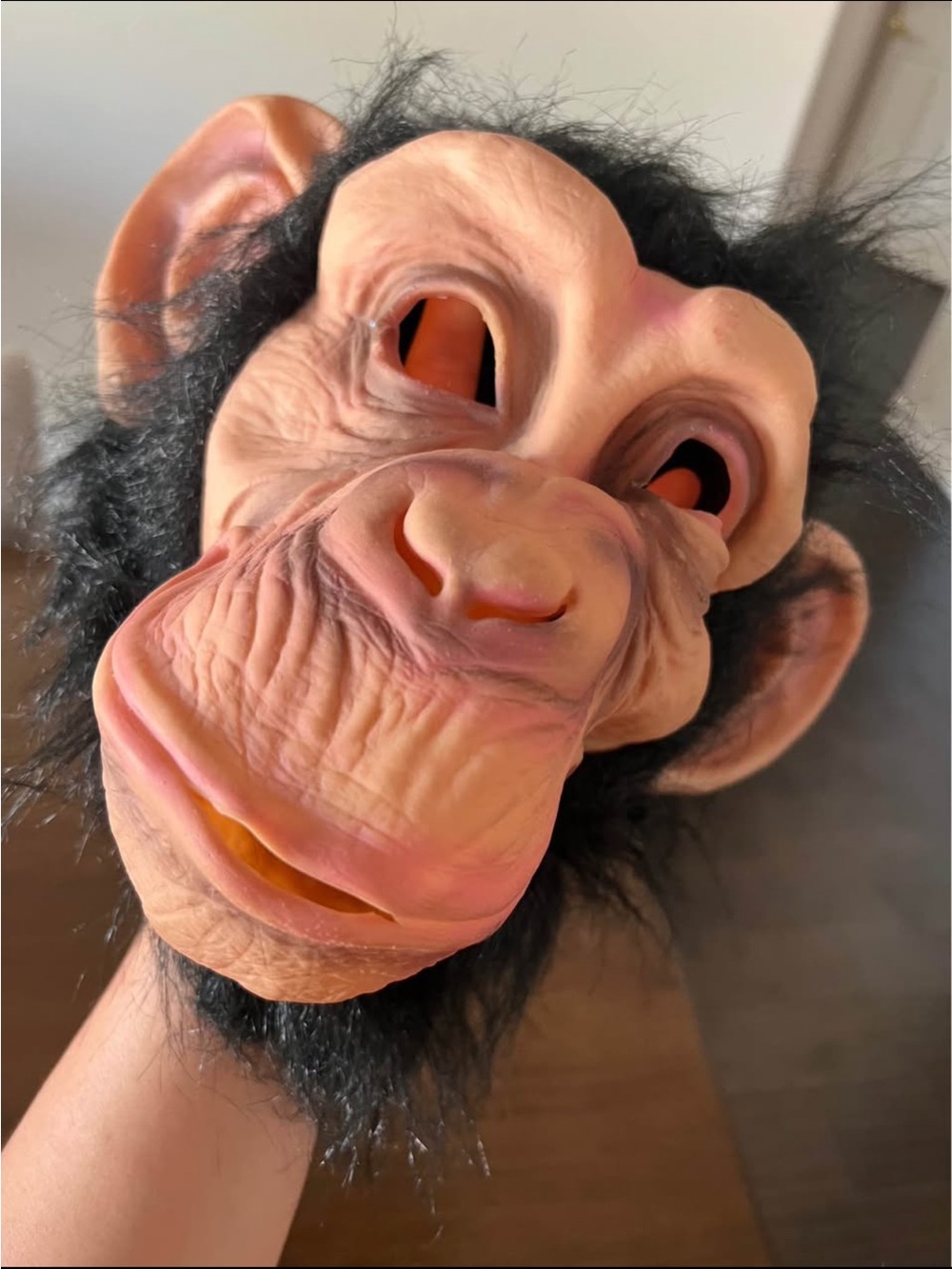 Chimpanzee mask